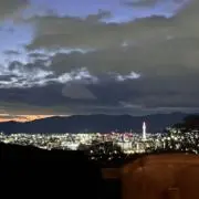 みーの画像