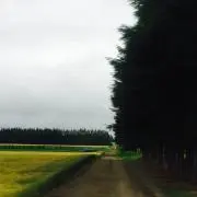 ★くまくま★の画像