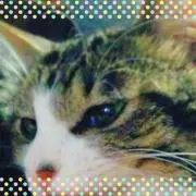 ※コメントください※ぴぴ
