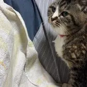 ゆ♡プロフお読みくださいの画像