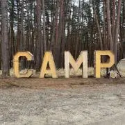 dcamの画像