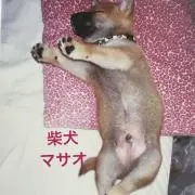 Masaoの画像