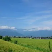 きなこもち