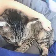 。