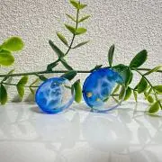 アヒルの子の画像