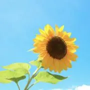 値段交渉、まとめ買い、なんでもどうぞの画像