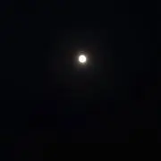 Jの画像