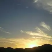 ゆず