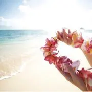 らんどの画像