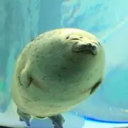 ひとやすみの画像