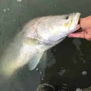 釣りロマンを求めて。
