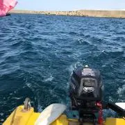 楫本の画像