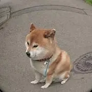 たなかの画像