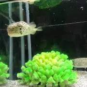 Hitoshiの画像