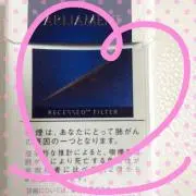 パーラメント✧