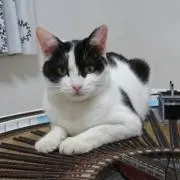 おじん57号の画像