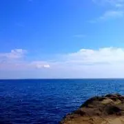 りーの画像