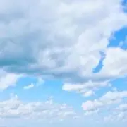 ぽちまるの画像
