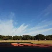 まる子の画像