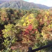 さー(プロフ必読)