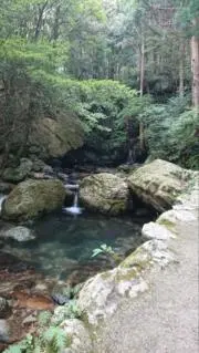 雅の画像