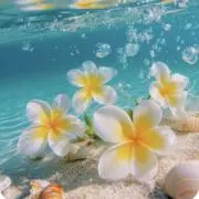 ♡coco♡の画像