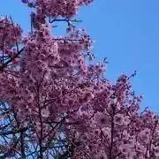 ★プロフご一読下さいませ★ usa-koの画像