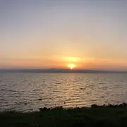 メル太郎の画像
