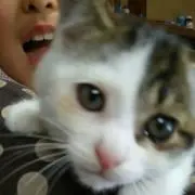 うっちゃん