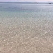 ykの画像