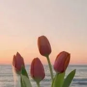 みーたん⚠️プロフ必読！！の画像
