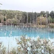 ko8e24の画像
