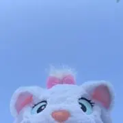 rの画像