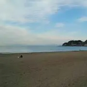 くらげの画像