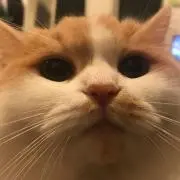mrym0326の画像