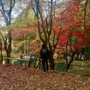 EIN 値下げ可能です！