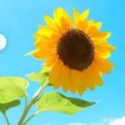 まーさんの画像