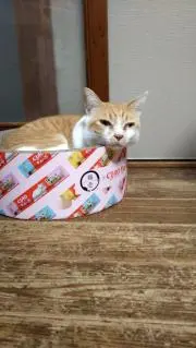 あーちゃんの画像