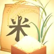 okome1005