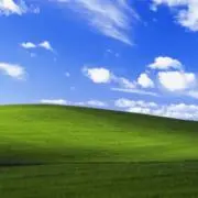 トの画像
