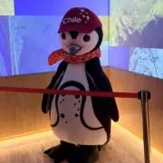Nukoの画像