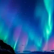 ALWS⭐️お得なセール詳細コメントの画像