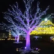 SSの画像