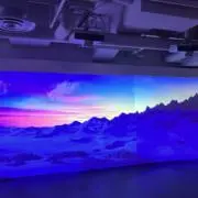 キャロの画像