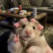:)の画像