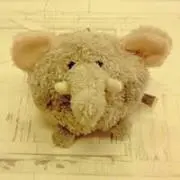 ピーパリ