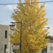 ZOOMZOOMの画像