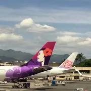 むにゃむにゃの画像