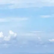 Syの画像