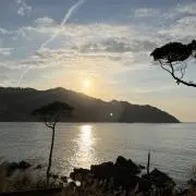 S2の画像